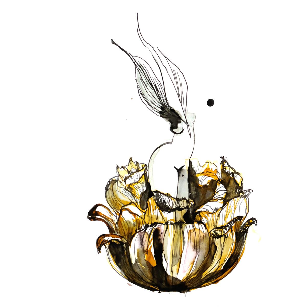 Skica - Cvjetna Venera, tuš